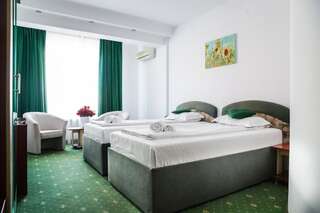 Отель Hotel Pami Клуж-Напока Двухместный номер с 1 кроватью или 2 отдельными кроватями-7