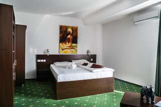 Отель Hotel Pami Клуж-Напока Люкс с 1 спальней-4