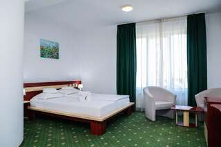 Отель Hotel Pami Клуж-Напока Двухместный номер с 1 кроватью или 2 отдельными кроватями-10