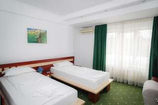 Отель Hotel Pami Клуж-Напока Двухместный номер с 1 кроватью или 2 отдельными кроватями-5